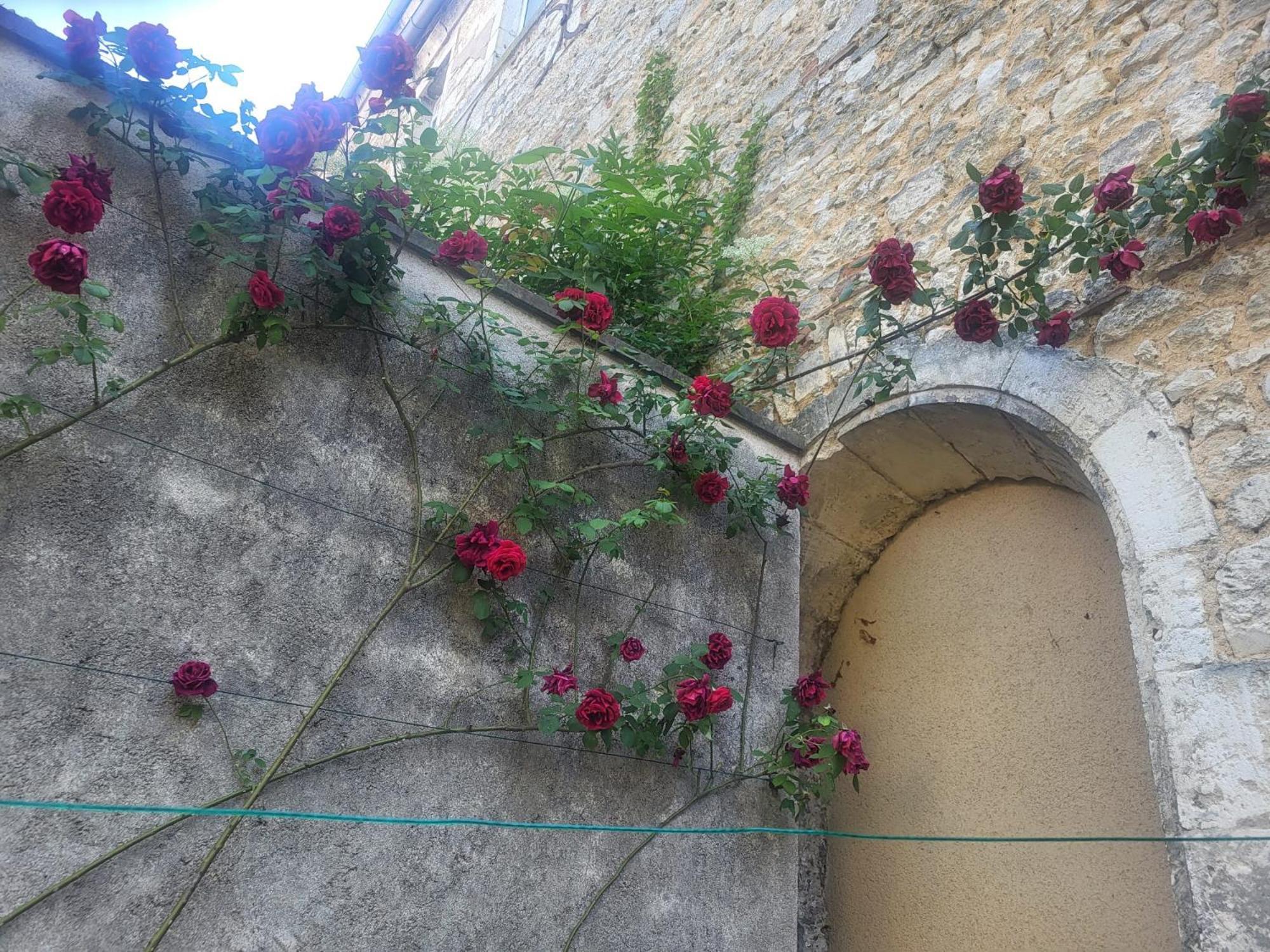 Apartament Au Puits De L'Abbaye Bourges Zewnętrze zdjęcie